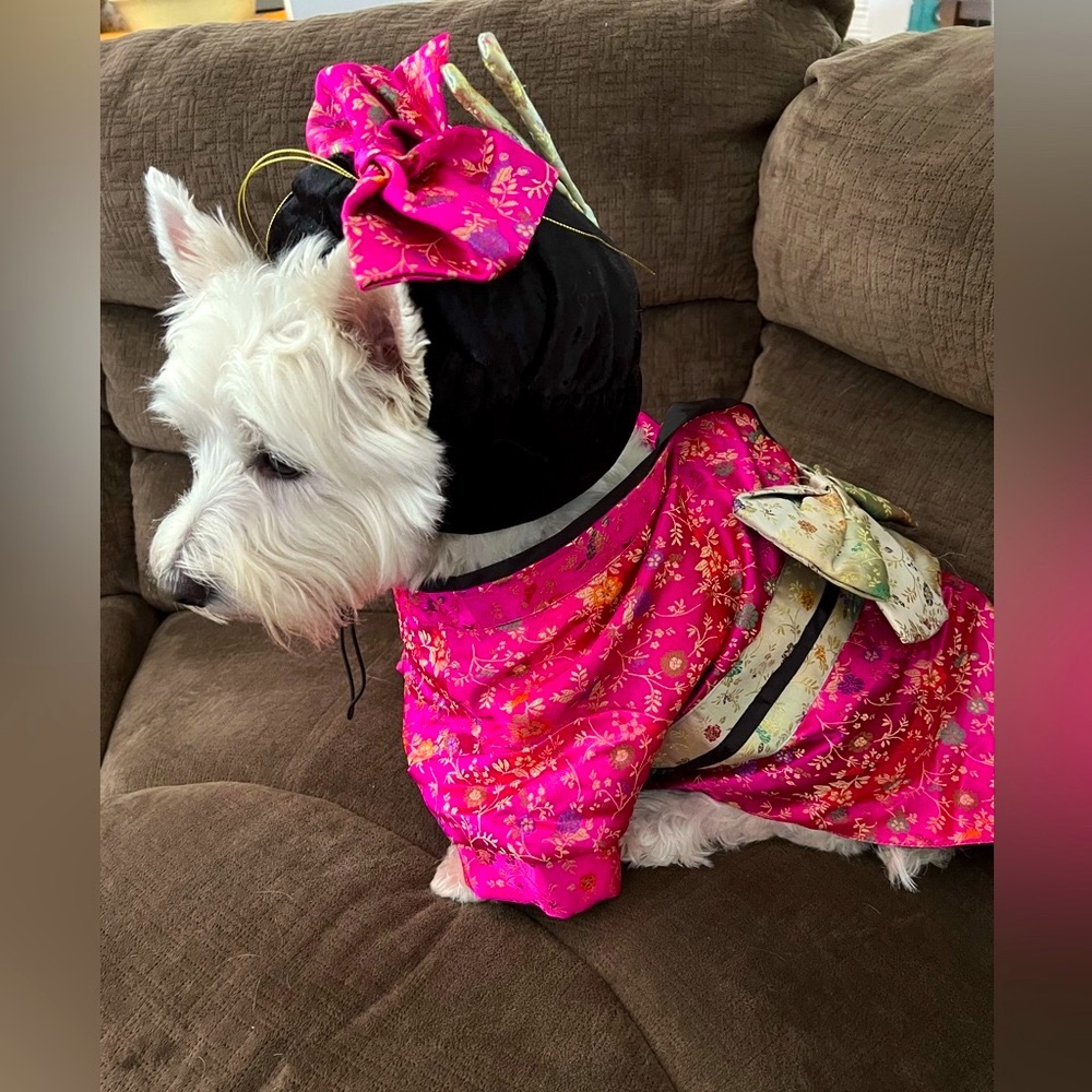 Halloween Kimono with matching Headpiece. Fabric is faux silk and colorful.